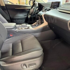 Lexus NX200 2019
