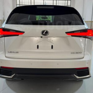 Lexus NX200 2019